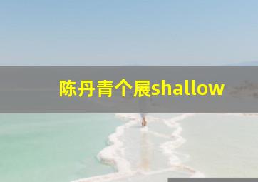 陈丹青个展shallow