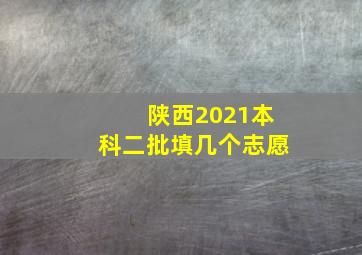 陕西2021本科二批填几个志愿