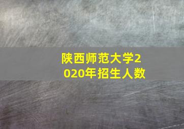 陕西师范大学2020年招生人数