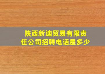 陕西新迪贸易有限责任公司招聘电话是多少