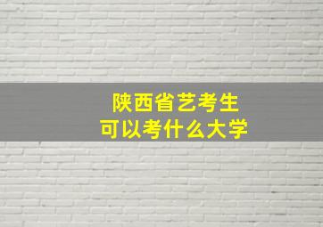 陕西省艺考生可以考什么大学