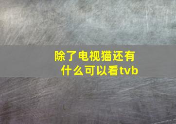 除了电视猫还有什么可以看tvb