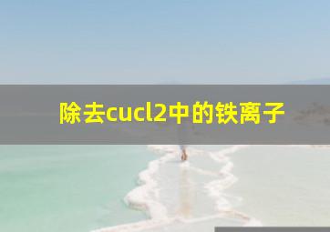 除去cucl2中的铁离子