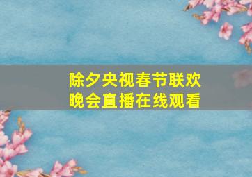 除夕央视春节联欢晚会直播在线观看