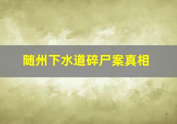 随州下水道碎尸案真相