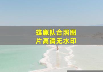 雄鹿队合照图片高清无水印