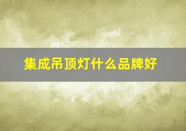 集成吊顶灯什么品牌好