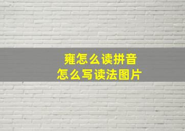 雍怎么读拼音怎么写读法图片