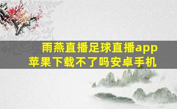 雨燕直播足球直播app苹果下载不了吗安卓手机