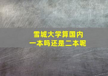 雪城大学算国内一本吗还是二本呢