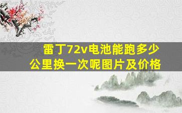 雷丁72v电池能跑多少公里换一次呢图片及价格