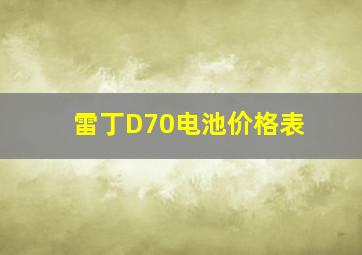 雷丁D70电池价格表