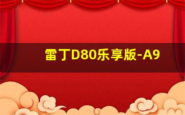 雷丁D80乐享版-A9