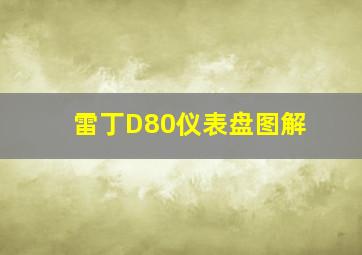 雷丁D80仪表盘图解