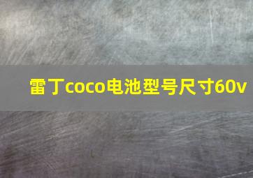 雷丁coco电池型号尺寸60v