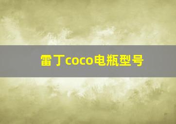 雷丁coco电瓶型号