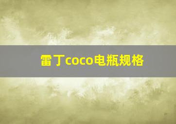 雷丁coco电瓶规格