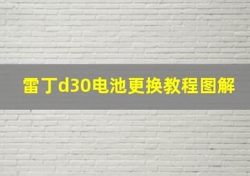 雷丁d30电池更换教程图解