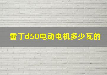 雷丁d50电动电机多少瓦的