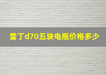 雷丁d70五块电瓶价格多少