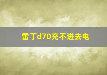 雷丁d70充不进去电