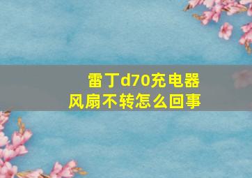 雷丁d70充电器风扇不转怎么回事