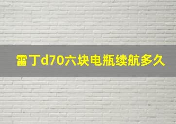 雷丁d70六块电瓶续航多久