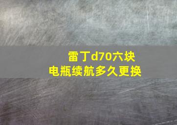 雷丁d70六块电瓶续航多久更换