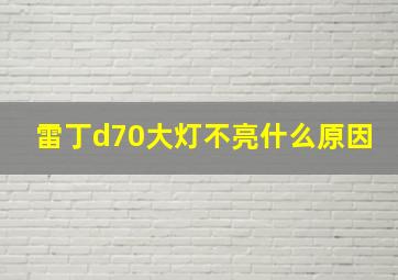 雷丁d70大灯不亮什么原因