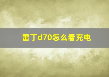 雷丁d70怎么看充电