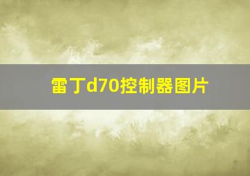 雷丁d70控制器图片