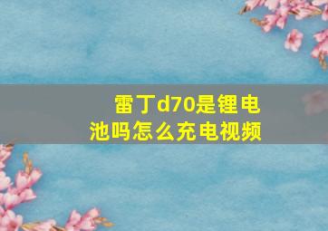 雷丁d70是锂电池吗怎么充电视频