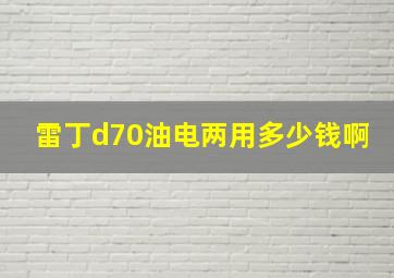 雷丁d70油电两用多少钱啊