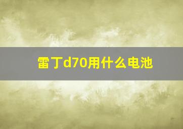 雷丁d70用什么电池