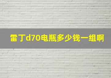 雷丁d70电瓶多少钱一组啊