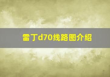 雷丁d70线路图介绍