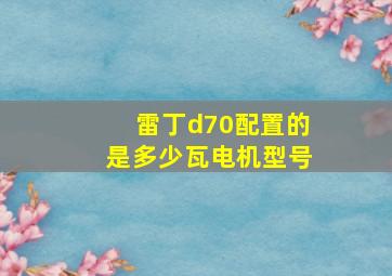 雷丁d70配置的是多少瓦电机型号