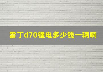 雷丁d70锂电多少钱一辆啊