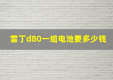 雷丁d80一组电池要多少钱