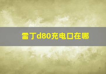 雷丁d80充电口在哪