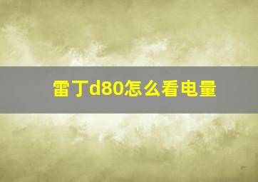 雷丁d80怎么看电量