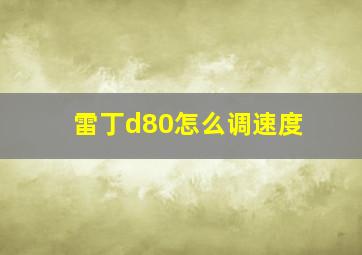 雷丁d80怎么调速度