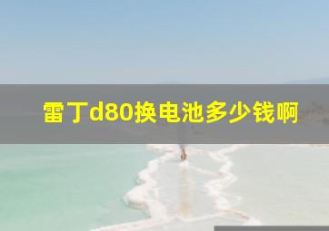 雷丁d80换电池多少钱啊