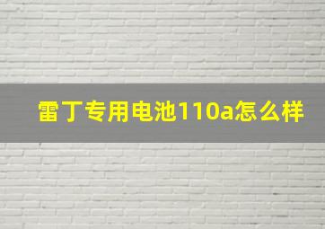 雷丁专用电池110a怎么样