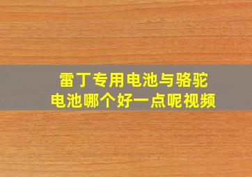 雷丁专用电池与骆驼电池哪个好一点呢视频