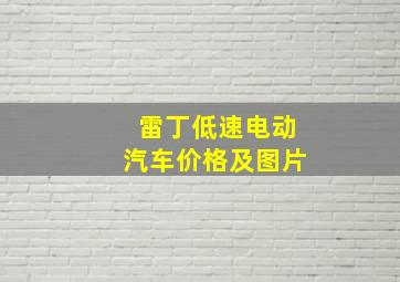 雷丁低速电动汽车价格及图片