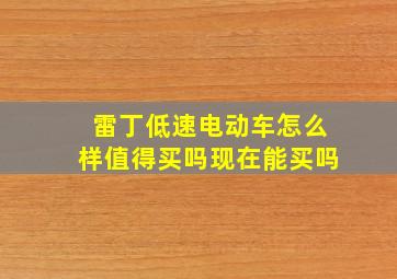 雷丁低速电动车怎么样值得买吗现在能买吗