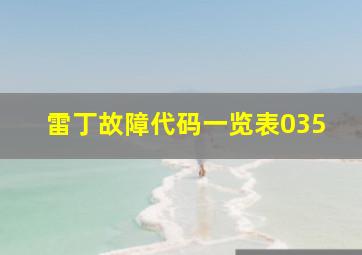 雷丁故障代码一览表035