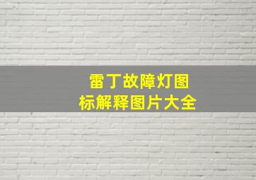 雷丁故障灯图标解释图片大全