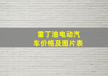 雷丁油电动汽车价格及图片表